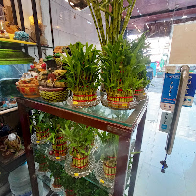 Best Feng Shui Tips For Your New Dream Apartment